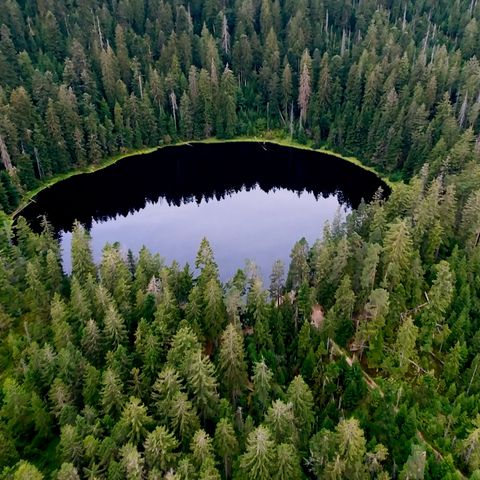 Ein Karsee in einem dichten Wald