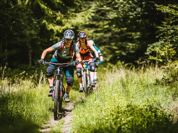 Radfahrerinnen in Wald und Wiesen