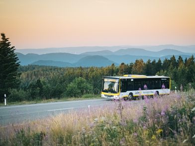 Nationalparkbus in Landschaft bei Abendstimmung